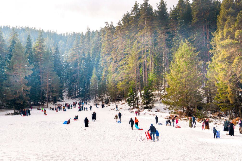 Keyifli Bir Kış Tatili: Ilgaz Kayak Merkezi'ni Yakından Tanıyın
