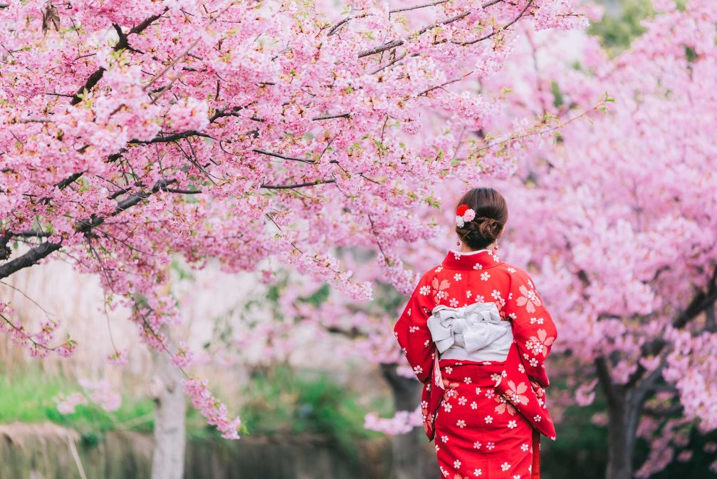 Japonya'da Mevsimsel Festivaller ve Renkli Kutlamalar
