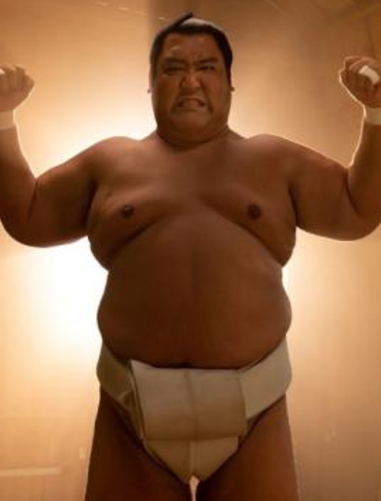 Çevrimiçi Sumo Jimnastiği