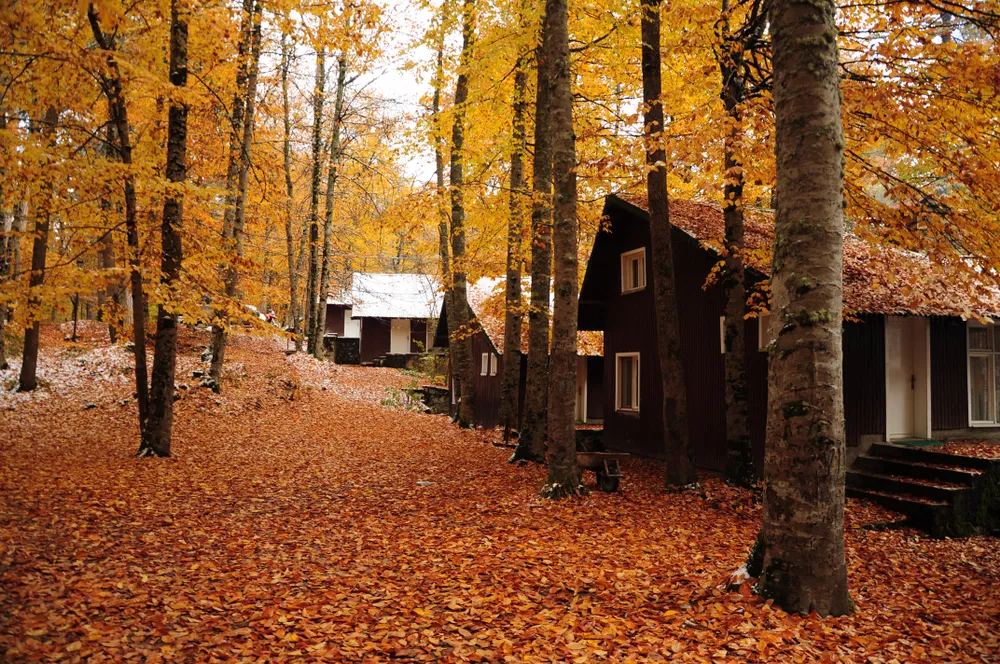 Doğa Tutkunları İçin 11 Tatil Rotası