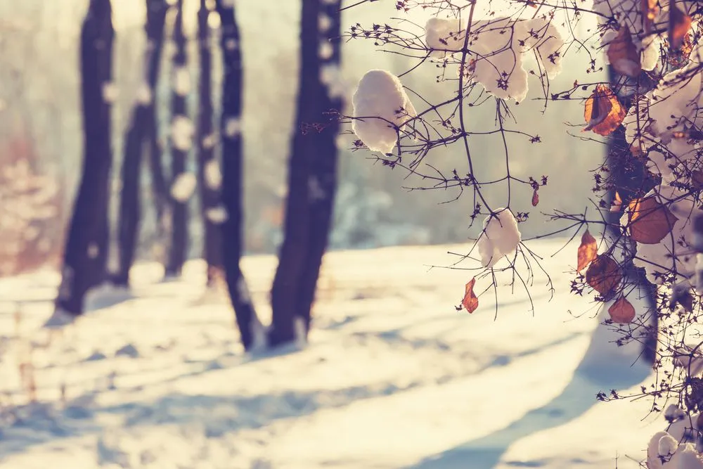 9 Places You Need to Discover In Winter Abroad