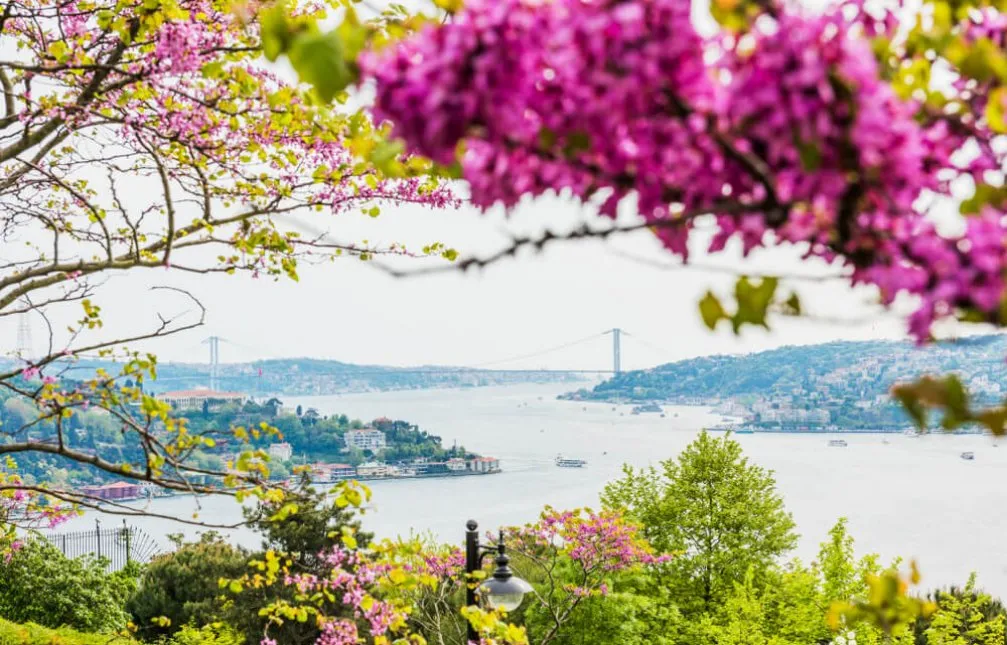 Şehirde Sakinlik: İstanbul’un Parkları