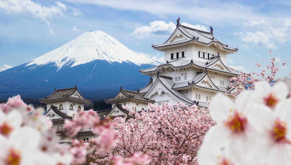 Hayatın Mucizesi: Japonya'nın Kutsal Kiraz Çiçeği Sakura
