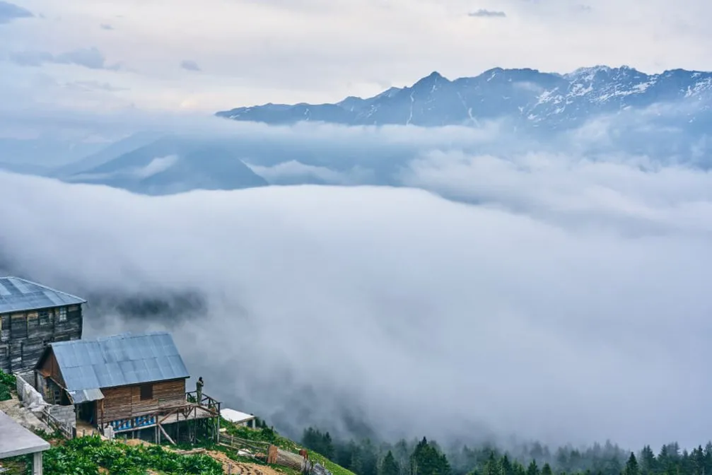 Gito Yaylası: Bir Karadeniz Güzelliği