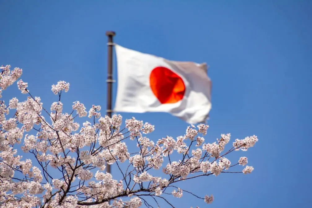 Bir Japon Lezzeti: Evde Sushi Yapımı