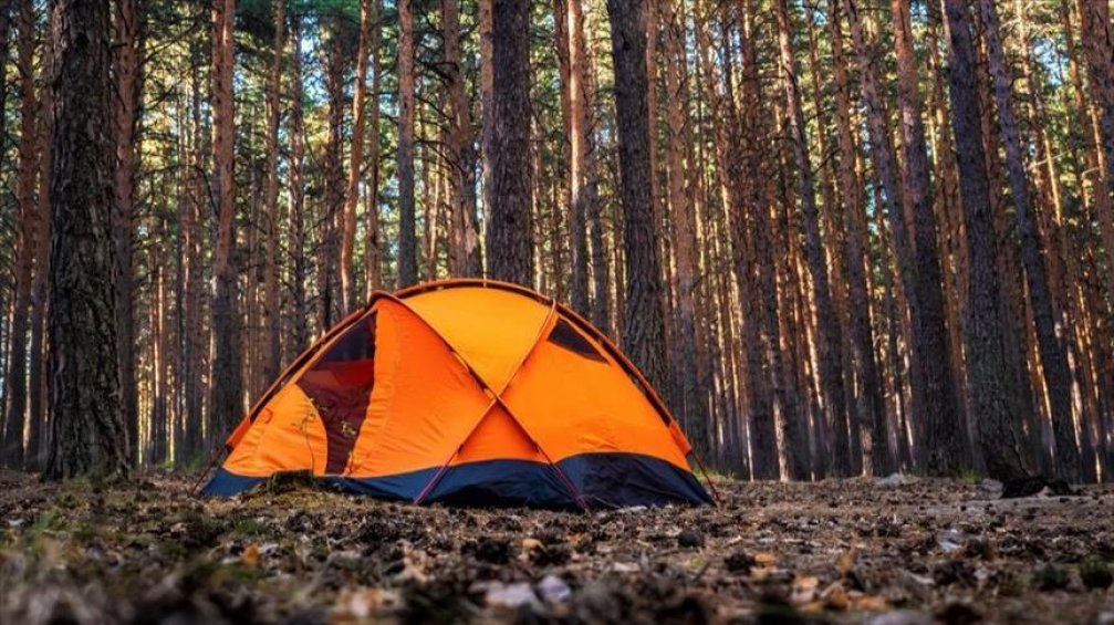The Impact of 2020 on Tourism and the Future of Travel