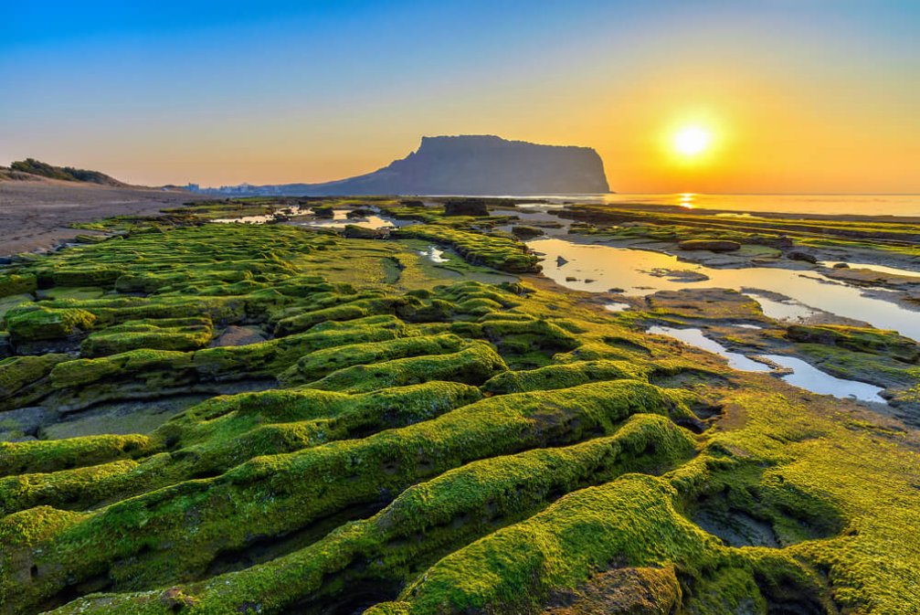 Güney Kore Seyahati Yapacaklar İçin Jeju Adası Hakkında 6 Bilgi